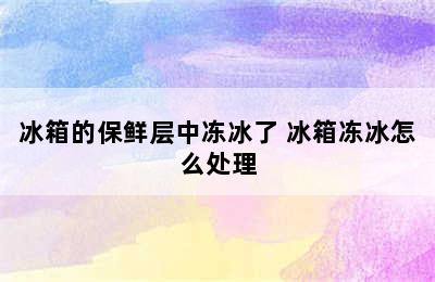 冰箱的保鲜层中冻冰了 冰箱冻冰怎么处理